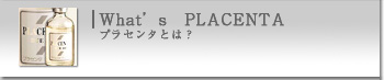プラセンタデュー100